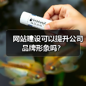 网站建设可以提升公司品牌形象吗?(图3) 网站建设可以提升公司品牌形象吗?(图3)