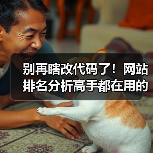别再瞎改代码了!网站排名分析高手都在用的3个核心心法(图4) 别再瞎改代码了!网站排名分析高手都在用的3个核心心法(图4)