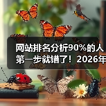 网站排名分析90%的人第一步就错了！2026年实操指南（图2）