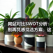 网站对比SWOT分析:别再凭感觉选方案,这4步让数据替你说话(图2) 网站对比SWOT分析:别再凭感觉选方案,这4步让数据替你说话(图2)