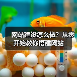 网站建设怎么做？从零开始教你搭建网站（图2）