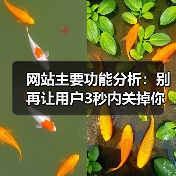 网站主要功能分析:别再让用户3秒内关掉你的页面(图4) 网站主要功能分析:别再让用户3秒内关掉你的页面(图4)