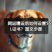 网站建设后如何设置SSL证书?图文步骤(图3) 网站建设后如何设置SSL证书?图文步骤(图3)