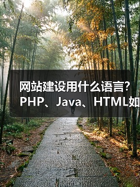 网站建设用什么语言？PHP、Java、HTML如何选（图4）
