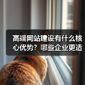 高端网站建设有什么核心优势?哪些企业更适合?(图3) 高端网站建设有什么核心优势?哪些企业更适合?(图3)