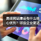 高端网站建设有什么核心优势?哪些企业更适合?(图4) 高端网站建设有什么核心优势?哪些企业更适合?(图4)