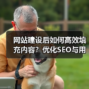 网站建设后如何高效填充内容?优化SEO与用户体验(图2) 网站建设后如何高效填充内容?优化SEO与用户体验(图2)