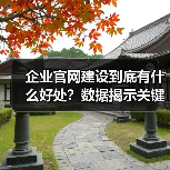 企业官网建设到底有什么好处？数据揭示关键价值（图1）