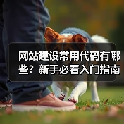 网站建设常用代码有哪些?新手必看入门指南(图2) 网站建设常用代码有哪些?新手必看入门指南(图2)