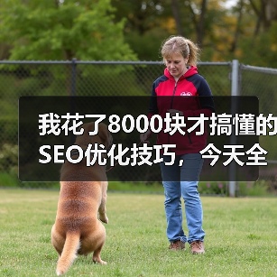 我花了8000块才搞懂的SEO优化技巧,今天全说清楚(图3) 我花了8000块才搞懂的SEO优化技巧,今天全说清楚(图3)