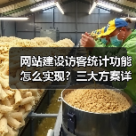 网站建设访客统计功能怎么实现?三大方案详解(图3) 网站建设访客统计功能怎么实现?三大方案详解(图3)