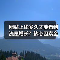 网站上线多久才能看到流量增长?核心因素全解析(图4) 网站上线多久才能看到流量增长?核心因素全解析(图4)