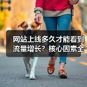 网站上线多久才能看到流量增长?核心因素全解析(图2) 网站上线多久才能看到流量增长?核心因素全解析(图2)