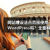 网站建设适合直接使用WordPress吗？全面解析适用场景与局限（图3）