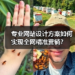 专业网站设计方案如何实现全网精准营销?(图4) 专业网站设计方案如何实现全网精准营销?(图4)