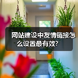 网站建设中友情链接怎么设置最有效?(图1) 网站建设中友情链接怎么设置最有效?(图1)