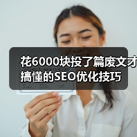 花6000块投了篇废文才搞懂的SEO优化技巧（图3）