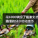花6000块投了篇废文才搞懂的SEO优化技巧（图4）