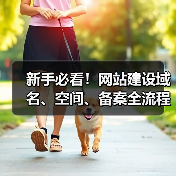 新手必看！网站建设域名、空间、备案全流程解析（图1）