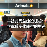 一站式网站建设崛起:企业数字化转型的新选择(图3) 一站式网站建设崛起:企业数字化转型的新选择(图3)