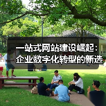 一站式网站建设崛起:企业数字化转型的新选择(图4) 一站式网站建设崛起:企业数字化转型的新选择(图4)
