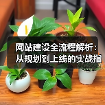 网站建设全流程解析:从规划到上线的实战指南(图4) 网站建设全流程解析:从规划到上线的实战指南(图4)