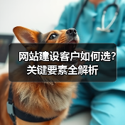 网站建设客户如何选?关键要素全解析(图2) 网站建设客户如何选?关键要素全解析(图2)