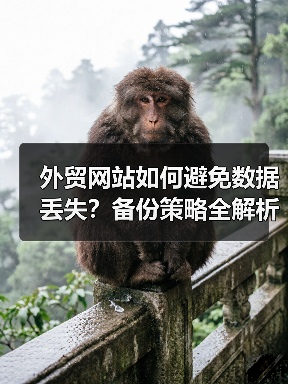 外贸网站如何避免数据丢失?备份策略全解析(图2) 外贸网站如何避免数据丢失?备份策略全解析(图2)