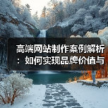 高端网站制作案例解析:如何实现品牌价值与用户体验双赢?(图2) 高端网站制作案例解析:如何实现品牌价值与用户体验双赢?(图2)