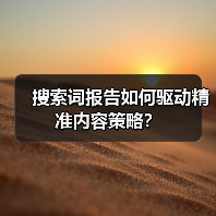 搜索词报告如何驱动精准内容策略？（图1）