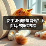 新手如何搭建网站？全面解析制作流程（图4）