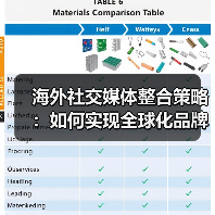 海外社交媒体整合策略：如何实现全球化品牌影响力？（图2）