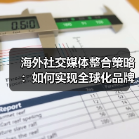 海外社交媒体整合策略：如何实现全球化品牌影响力？（图1）
