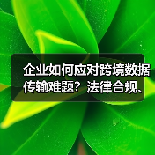 企业如何应对跨境数据传输难题？法律合规、数据安全措施与技术解决方案全解析（图3）
