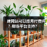 建网站可以按月付费吗？哪些平台支持？（图4）