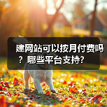 建网站可以按月付费吗？哪些平台支持？（图2）