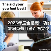 2026年最全指南:功能型网页有哪些?看完少走3年弯路(图1) 2026年最全指南:功能型网页有哪些?看完少走3年弯路(图1)